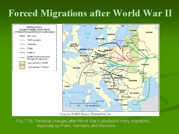 Forced Migrations after World War II Fig. 7 -19: Territorial changes after World War