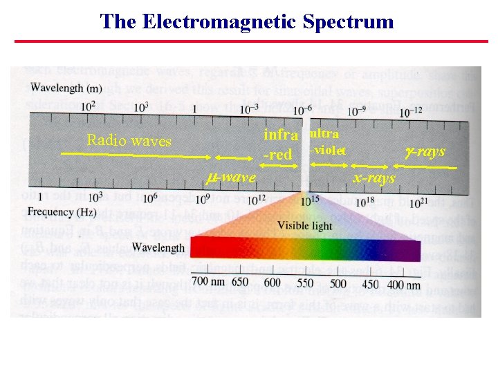 The Electromagnetic Spectrum infra ultra -red -violet Radio waves m-wave g-rays x-rays 