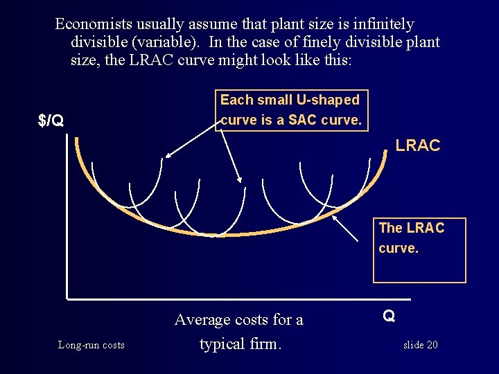 Economists usually assume that plant size is infinitely divisible (variable). In the case of