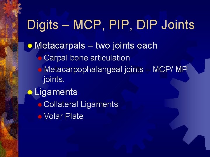 Digits – MCP, PIP, DIP Joints ® Metacarpals – two joints each ® Carpal Digits – MCP, PIP, DIP Joints ® Metacarpals – two joints each ® Carpal