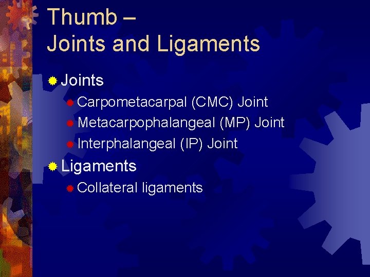 Thumb – Joints and Ligaments ® Joints ® Carpometacarpal (CMC) Joint ® Metacarpophalangeal (MP) Thumb – Joints and Ligaments ® Joints ® Carpometacarpal (CMC) Joint ® Metacarpophalangeal (MP)