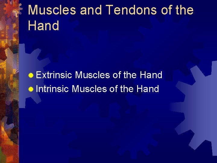 Muscles and Tendons of the Hand ® Extrinsic Muscles of the Hand ® Intrinsic Muscles and Tendons of the Hand ® Extrinsic Muscles of the Hand ® Intrinsic