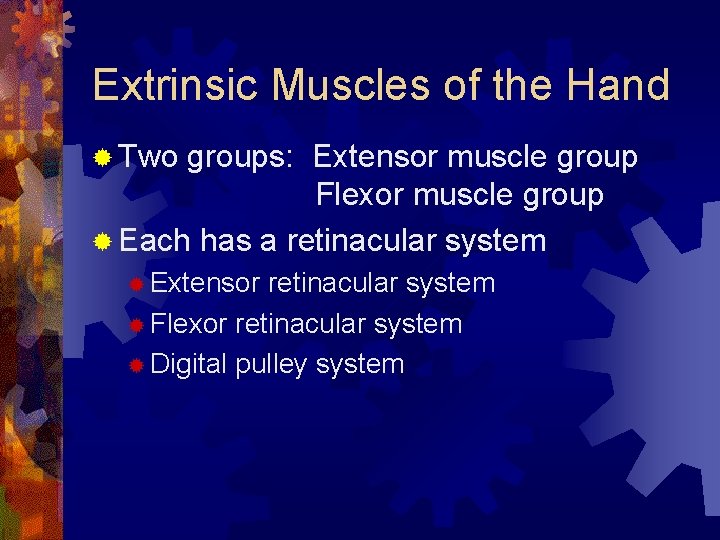 Extrinsic Muscles of the Hand ® Two groups: Extensor muscle group Flexor muscle group Extrinsic Muscles of the Hand ® Two groups: Extensor muscle group Flexor muscle group