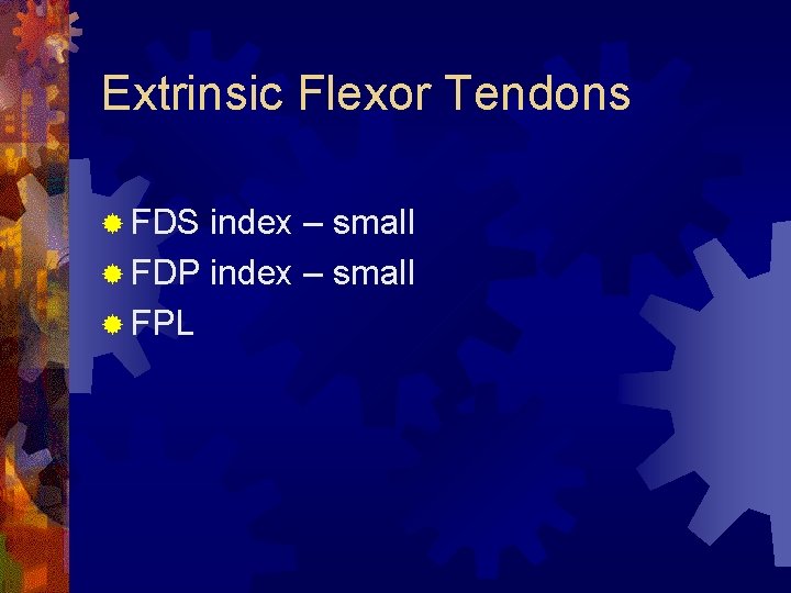 Extrinsic Flexor Tendons ® FDS index – small ® FDP index – small ® Extrinsic Flexor Tendons ® FDS index – small ® FDP index – small ®