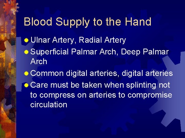 Blood Supply to the Hand ® Ulnar Artery, Radial Artery ® Superficial Palmar Arch, Blood Supply to the Hand ® Ulnar Artery, Radial Artery ® Superficial Palmar Arch,
