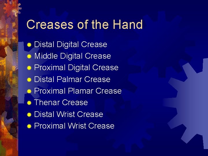 Creases of the Hand ® Distal Digital Crease ® Middle Digital Crease ® Proximal Creases of the Hand ® Distal Digital Crease ® Middle Digital Crease ® Proximal