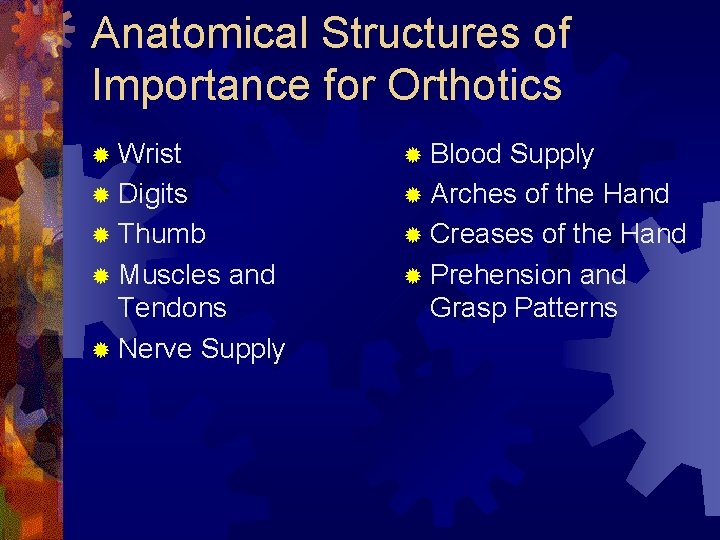 Anatomical Structures of Importance for Orthotics ® Wrist ® Blood ® Digits ® Thumb Anatomical Structures of Importance for Orthotics ® Wrist ® Blood ® Digits ® Thumb