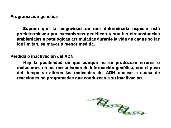 Programación genética Supone que la longevidad de una determinada especie está predeterminada por mecanismos