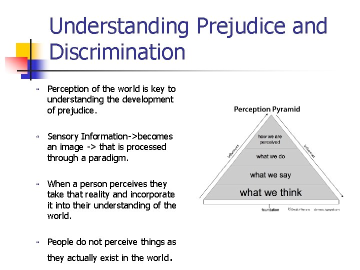 Understanding Prejudice and Discrimination Perception of the world is key to understanding the development