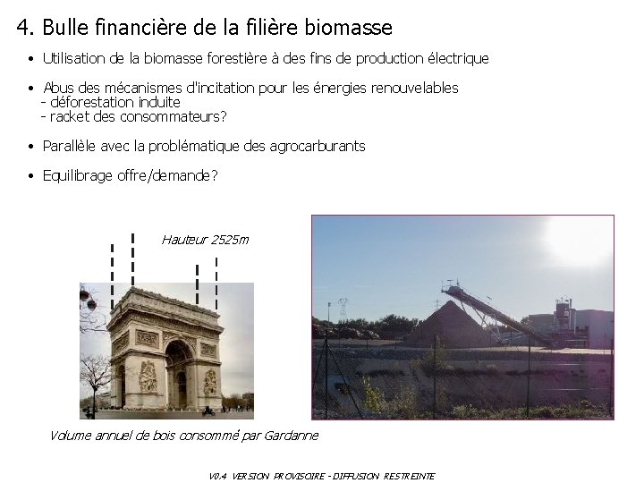 4. Bulle financière de la filière biomasse • Utilisation de la biomasse forestière à