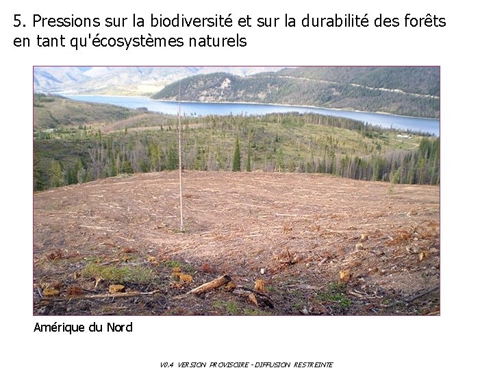 5. Pressions sur la biodiversité et sur la durabilité des forêts en tant qu'écosystèmes