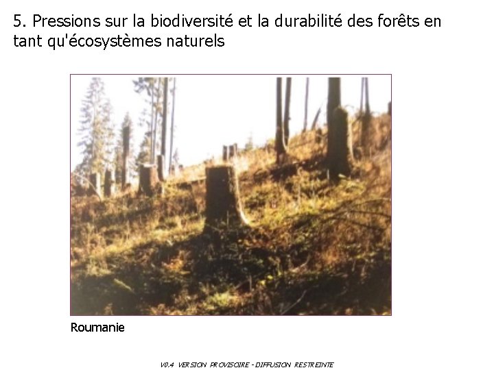 5. Pressions sur la biodiversité et la durabilité des forêts en tant qu'écosystèmes naturels