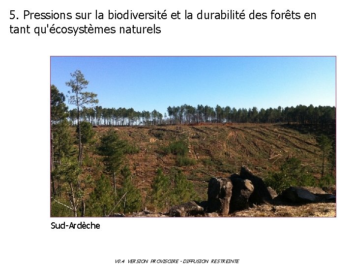 5. Pressions sur la biodiversité et la durabilité des forêts en tant qu'écosystèmes naturels