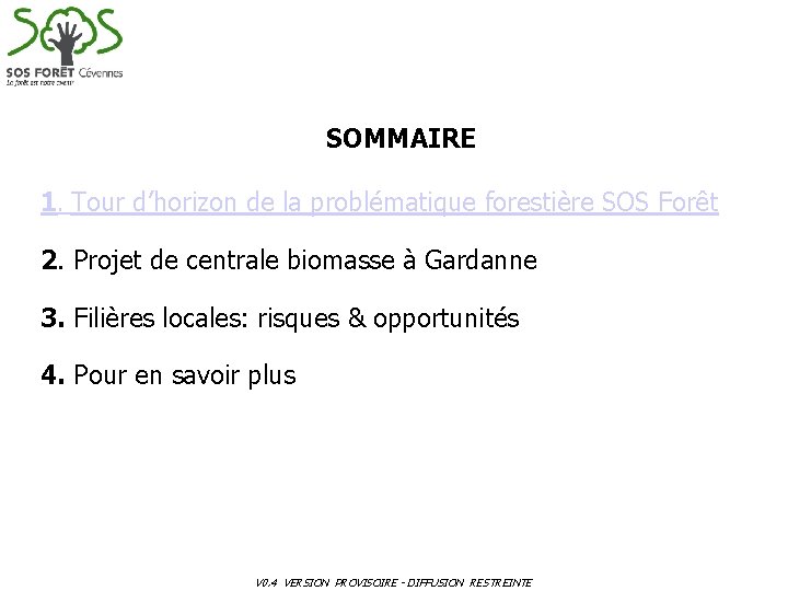 SOMMAIRE 1. Tour d’horizon de la problématique forestière SOS Forêt 2. Projet de centrale