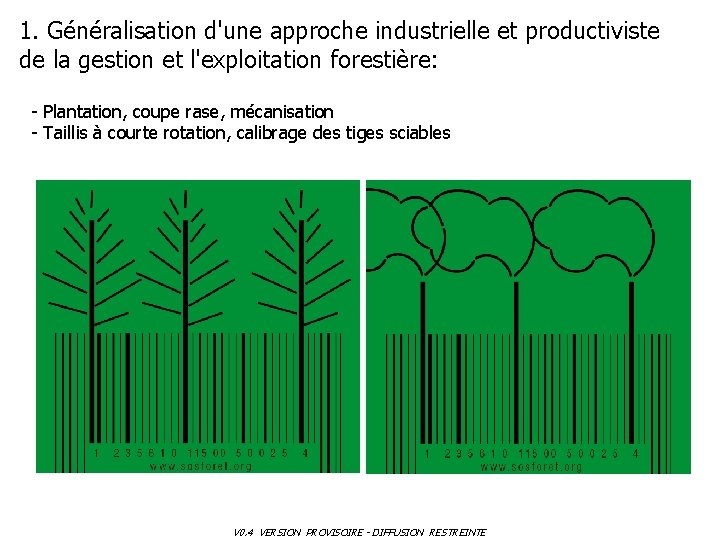 1. Généralisation d'une approche industrielle et productiviste de la gestion et l'exploitation forestière: -