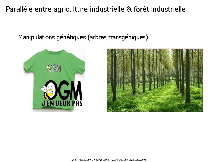 Parallèle entre agriculture industrielle & forêt industrielle Manipulations génétiques (arbres transgéniques) V 0. 4