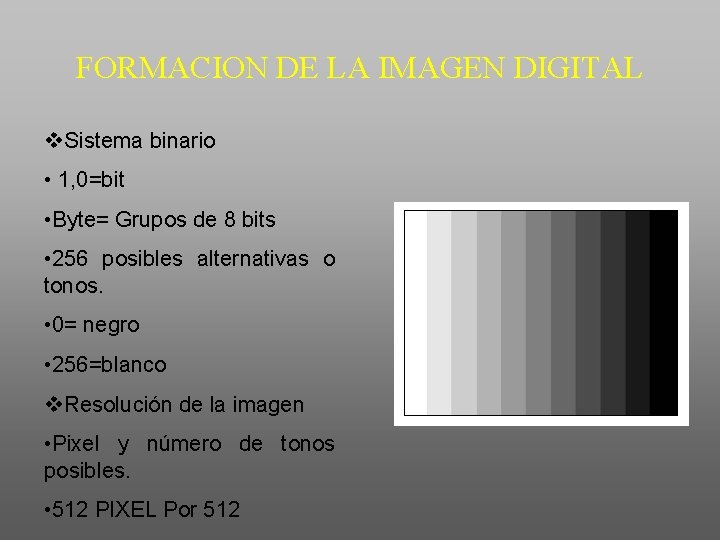 FORMACION DE LA IMAGEN DIGITAL v. Sistema binario • 1, 0=bit • Byte= Grupos