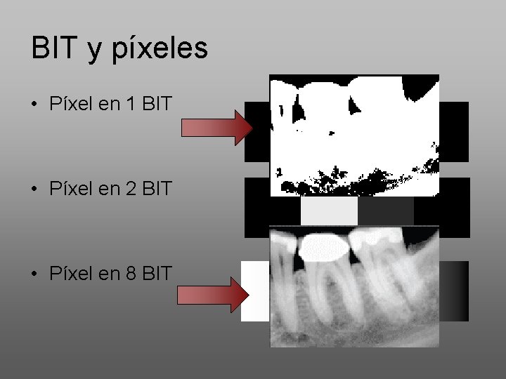 BIT y píxeles • Píxel en 1 BIT • Píxel en 2 BIT •