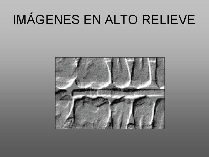 IMÁGENES EN ALTO RELIEVE 
