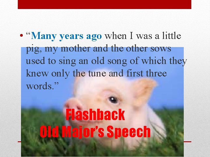  • “Many years ago when I was a little pig, my mother and