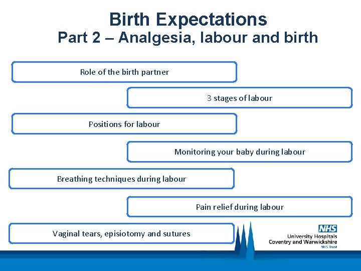 Birth Expectations Part 2 – Analgesia, labour and birth Role of the birth partner