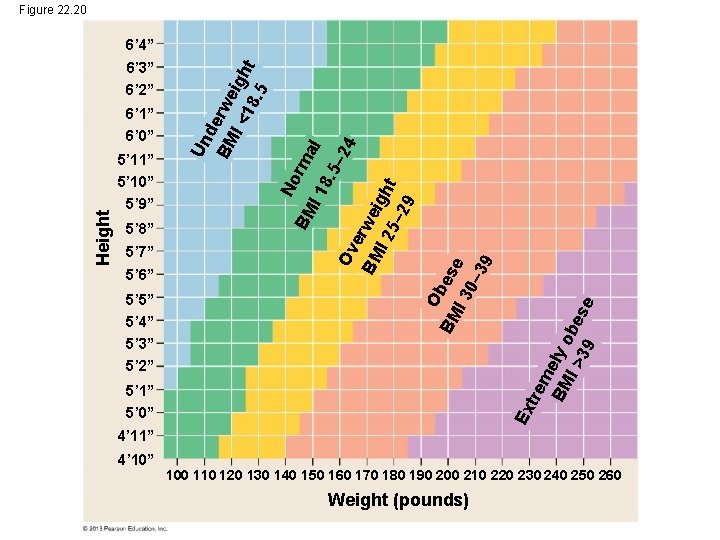 Figure 22. 20 5’ 3” 5’ 2” Ex 5’ 1” 5’ 0” tre me Figure 22. 20 5’ 3” 5’ 2” Ex 5’ 1” 5’ 0” tre me