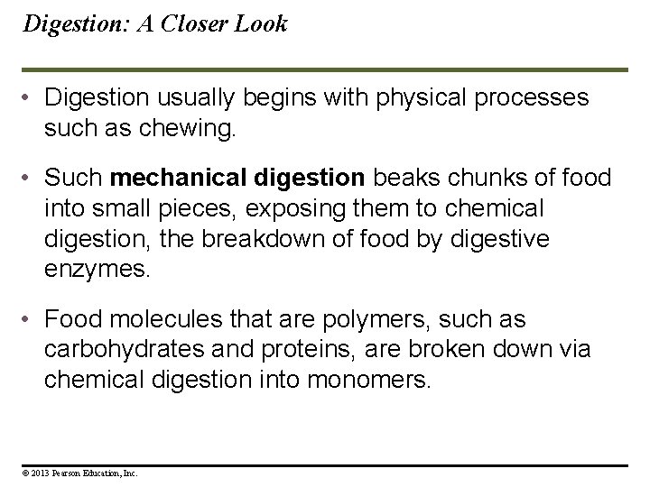 Digestion: A Closer Look • Digestion usually begins with physical processes such as chewing. Digestion: A Closer Look • Digestion usually begins with physical processes such as chewing.