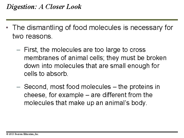 Digestion: A Closer Look • The dismantling of food molecules is necessary for two Digestion: A Closer Look • The dismantling of food molecules is necessary for two