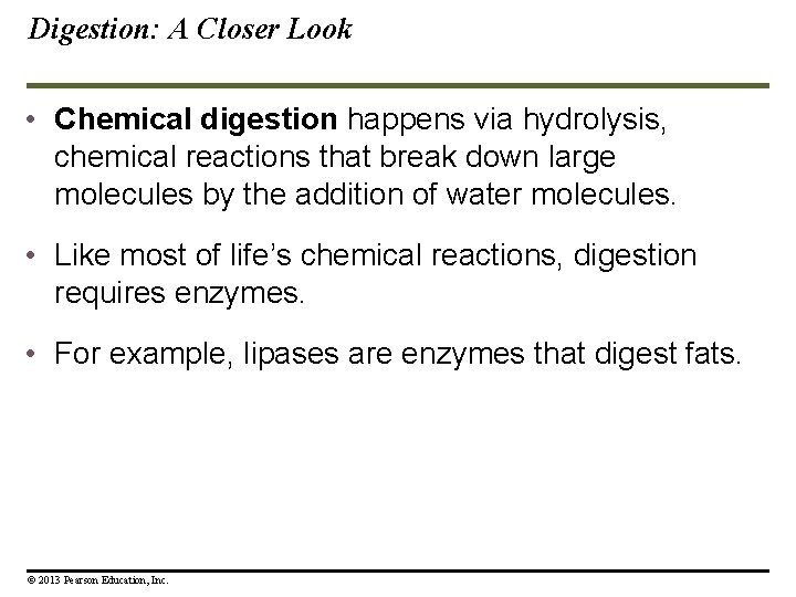 Digestion: A Closer Look • Chemical digestion happens via hydrolysis, chemical reactions that break Digestion: A Closer Look • Chemical digestion happens via hydrolysis, chemical reactions that break
