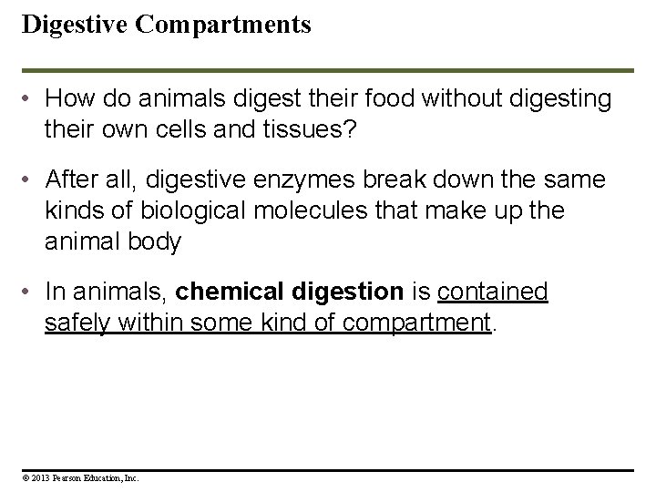 Digestive Compartments • How do animals digest their food without digesting their own cells Digestive Compartments • How do animals digest their food without digesting their own cells