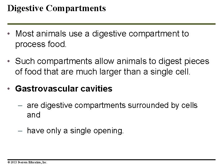 Digestive Compartments • Most animals use a digestive compartment to process food. • Such Digestive Compartments • Most animals use a digestive compartment to process food. • Such