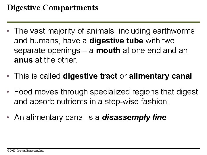 Digestive Compartments • The vast majority of animals, including earthworms and humans, have a Digestive Compartments • The vast majority of animals, including earthworms and humans, have a