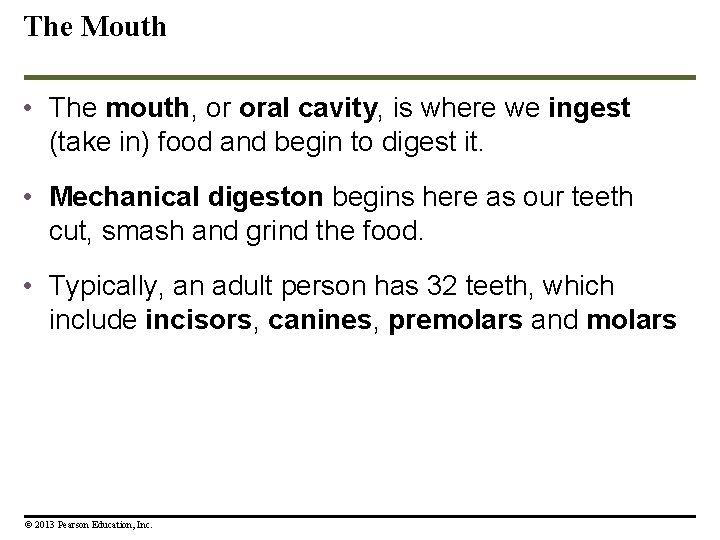The Mouth • The mouth, or oral cavity, is where we ingest (take in) The Mouth • The mouth, or oral cavity, is where we ingest (take in)