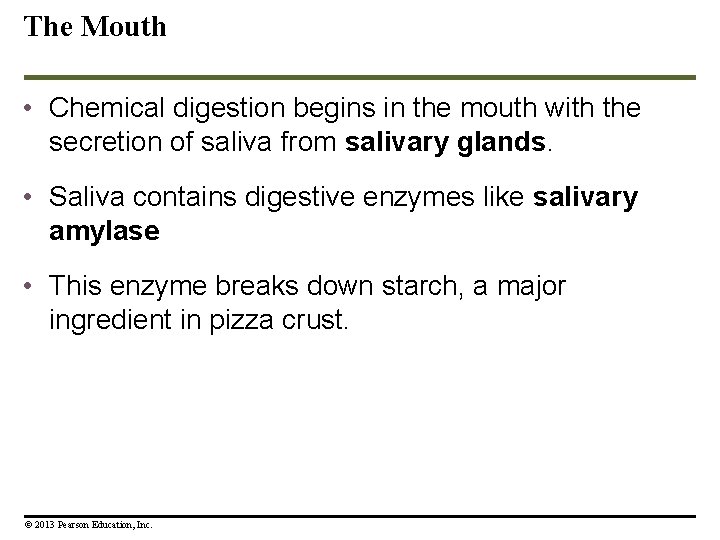 The Mouth • Chemical digestion begins in the mouth with the secretion of saliva The Mouth • Chemical digestion begins in the mouth with the secretion of saliva
