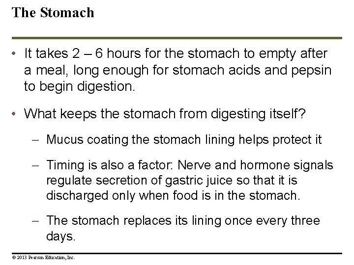 The Stomach • It takes 2 – 6 hours for the stomach to empty The Stomach • It takes 2 – 6 hours for the stomach to empty