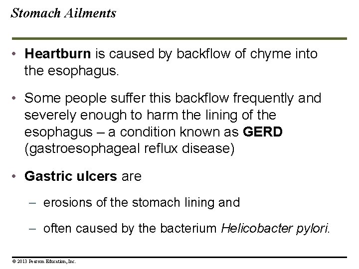 Stomach Ailments • Heartburn is caused by backflow of chyme into the esophagus. • Stomach Ailments • Heartburn is caused by backflow of chyme into the esophagus. •