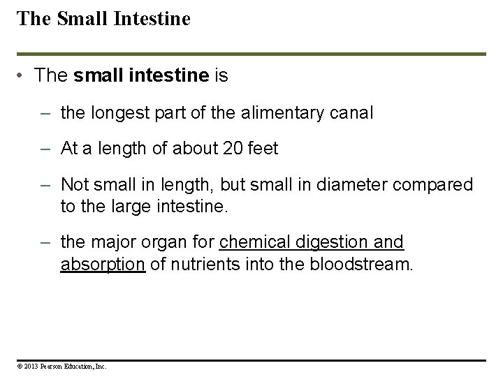 The Small Intestine • The small intestine is – the longest part of the The Small Intestine • The small intestine is – the longest part of the
