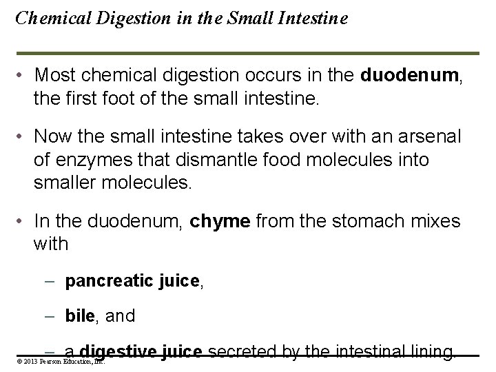Chemical Digestion in the Small Intestine • Most chemical digestion occurs in the duodenum, Chemical Digestion in the Small Intestine • Most chemical digestion occurs in the duodenum,