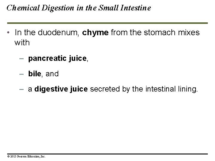 Chemical Digestion in the Small Intestine • In the duodenum, chyme from the stomach Chemical Digestion in the Small Intestine • In the duodenum, chyme from the stomach