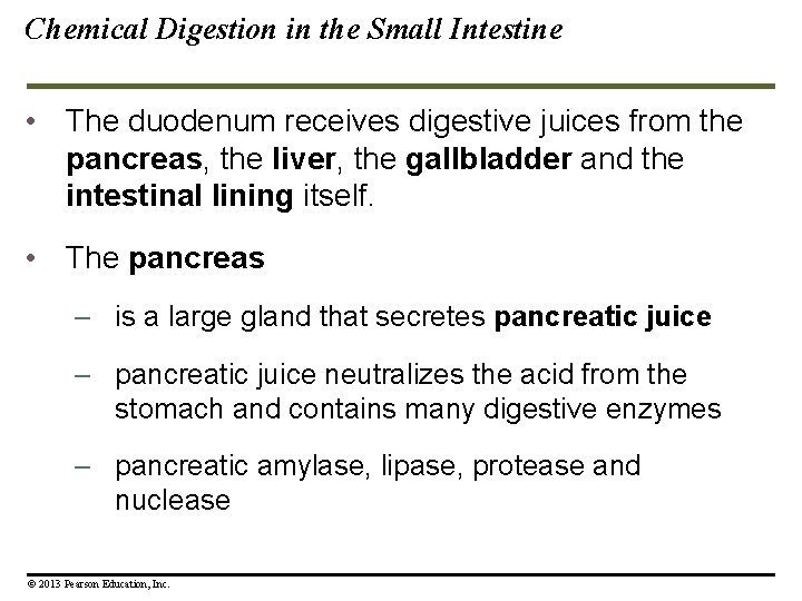 Chemical Digestion in the Small Intestine • The duodenum receives digestive juices from the Chemical Digestion in the Small Intestine • The duodenum receives digestive juices from the