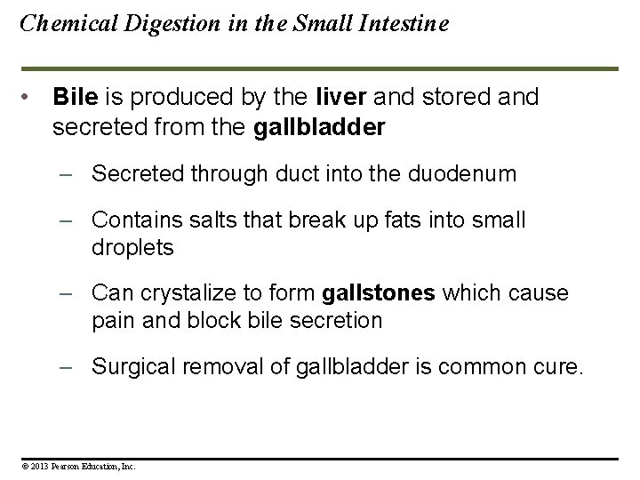 Chemical Digestion in the Small Intestine • Bile is produced by the liver and Chemical Digestion in the Small Intestine • Bile is produced by the liver and