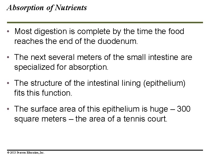 Absorption of Nutrients • Most digestion is complete by the time the food reaches Absorption of Nutrients • Most digestion is complete by the time the food reaches