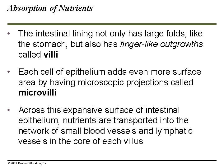 Absorption of Nutrients • The intestinal lining not only has large folds, like the Absorption of Nutrients • The intestinal lining not only has large folds, like the