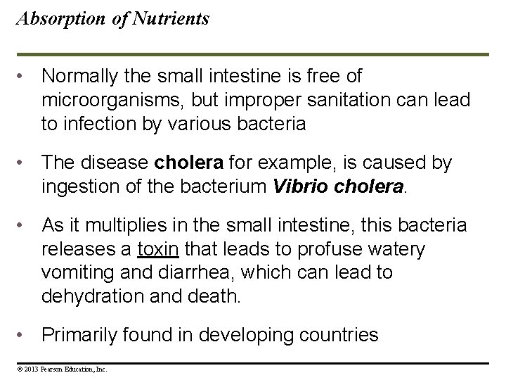 Absorption of Nutrients • Normally the small intestine is free of microorganisms, but improper Absorption of Nutrients • Normally the small intestine is free of microorganisms, but improper