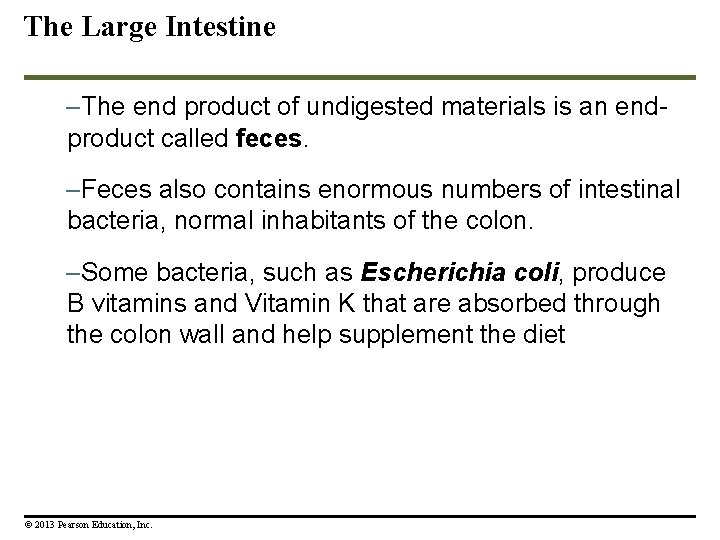 The Large Intestine –The end product of undigested materials is an endproduct called feces. The Large Intestine –The end product of undigested materials is an endproduct called feces.