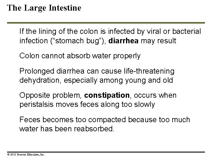The Large Intestine If the lining of the colon is infected by viral or The Large Intestine If the lining of the colon is infected by viral or