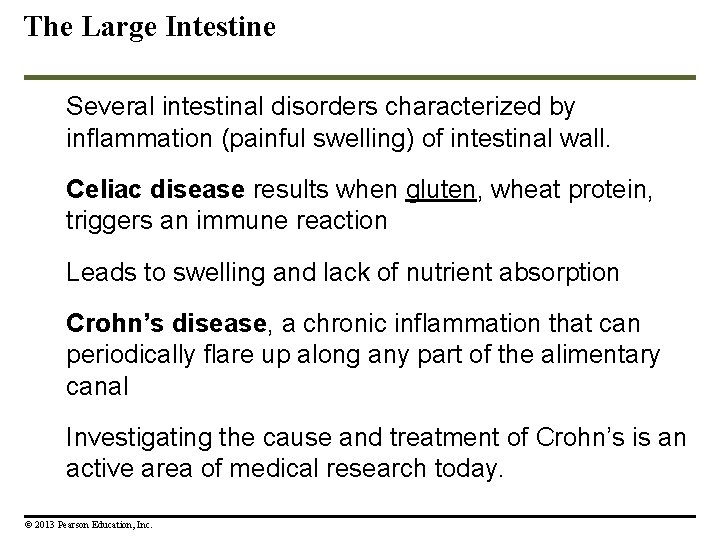 The Large Intestine Several intestinal disorders characterized by inflammation (painful swelling) of intestinal wall. The Large Intestine Several intestinal disorders characterized by inflammation (painful swelling) of intestinal wall.