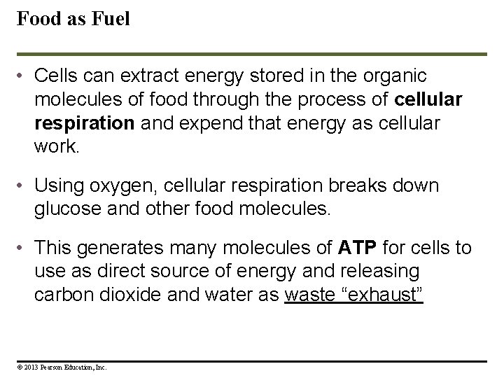 Food as Fuel • Cells can extract energy stored in the organic molecules of Food as Fuel • Cells can extract energy stored in the organic molecules of