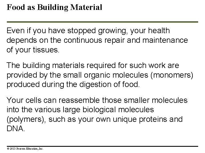 Food as Building Material Even if you have stopped growing, your health depends on Food as Building Material Even if you have stopped growing, your health depends on