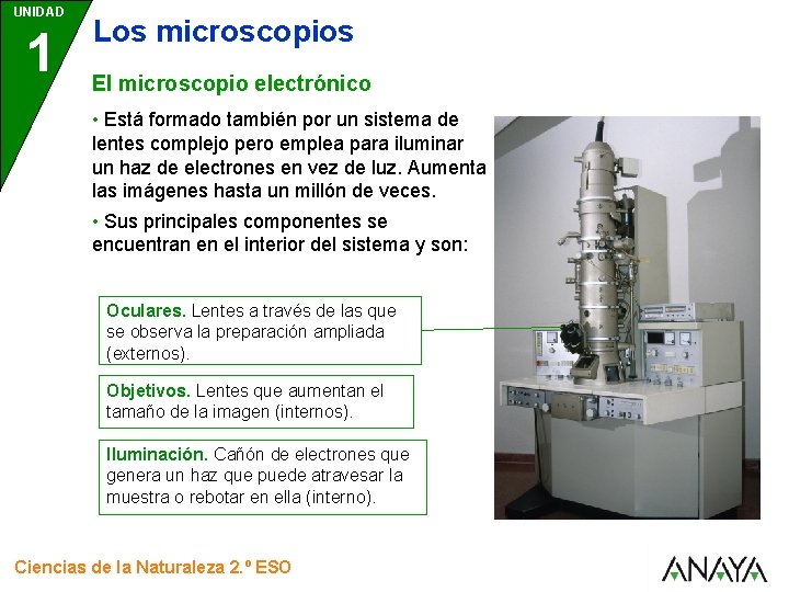 UNIDAD 1 Los microscopios El microscopio electrónico • Está formado también por un sistema